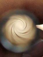 CONVERSIONE CANNA E OTTURATORE - MARCA ERMA - MODELLO EL 24 - CALIBRO 22LR 2587